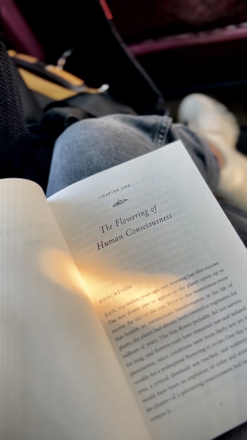 Held by the page, photograph.