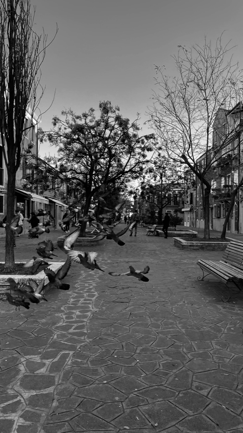Silence in two tones, photograph.